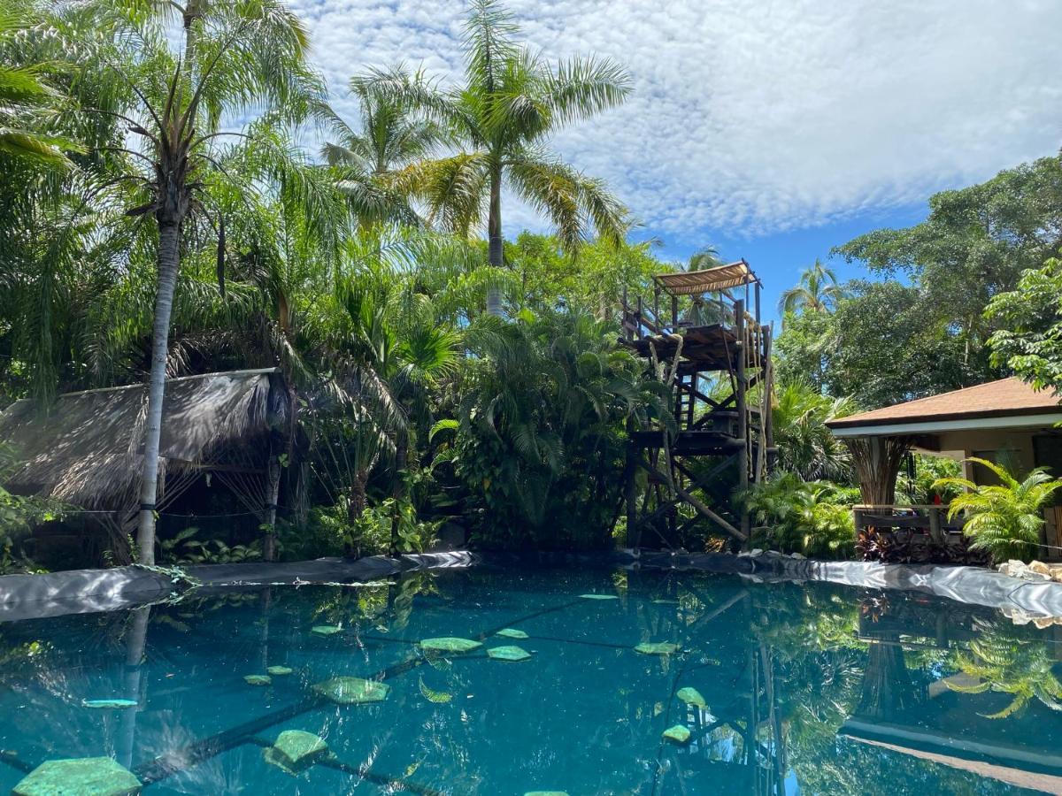 Вилла Jardin Secreto Centro Holistico Акапулько Экстерьер фото