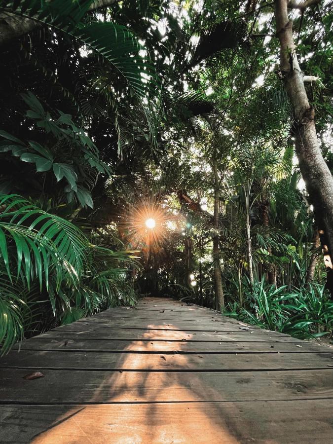 Вилла Jardin Secreto Centro Holistico Акапулько Экстерьер фото