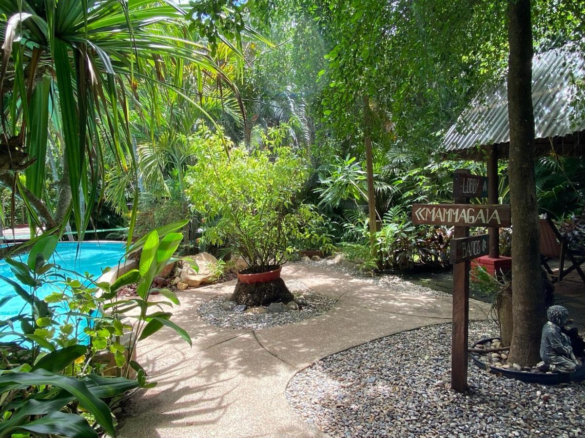 Вилла Jardin Secreto Centro Holistico Акапулько Экстерьер фото